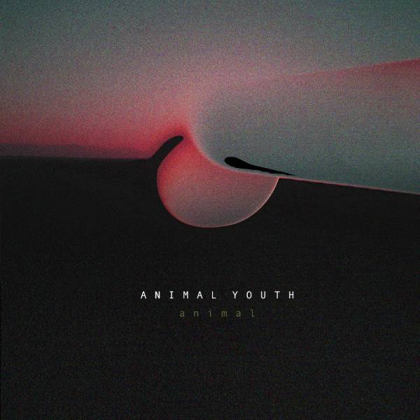 Animal Youth dévoile un nouveau morceau (actualité)